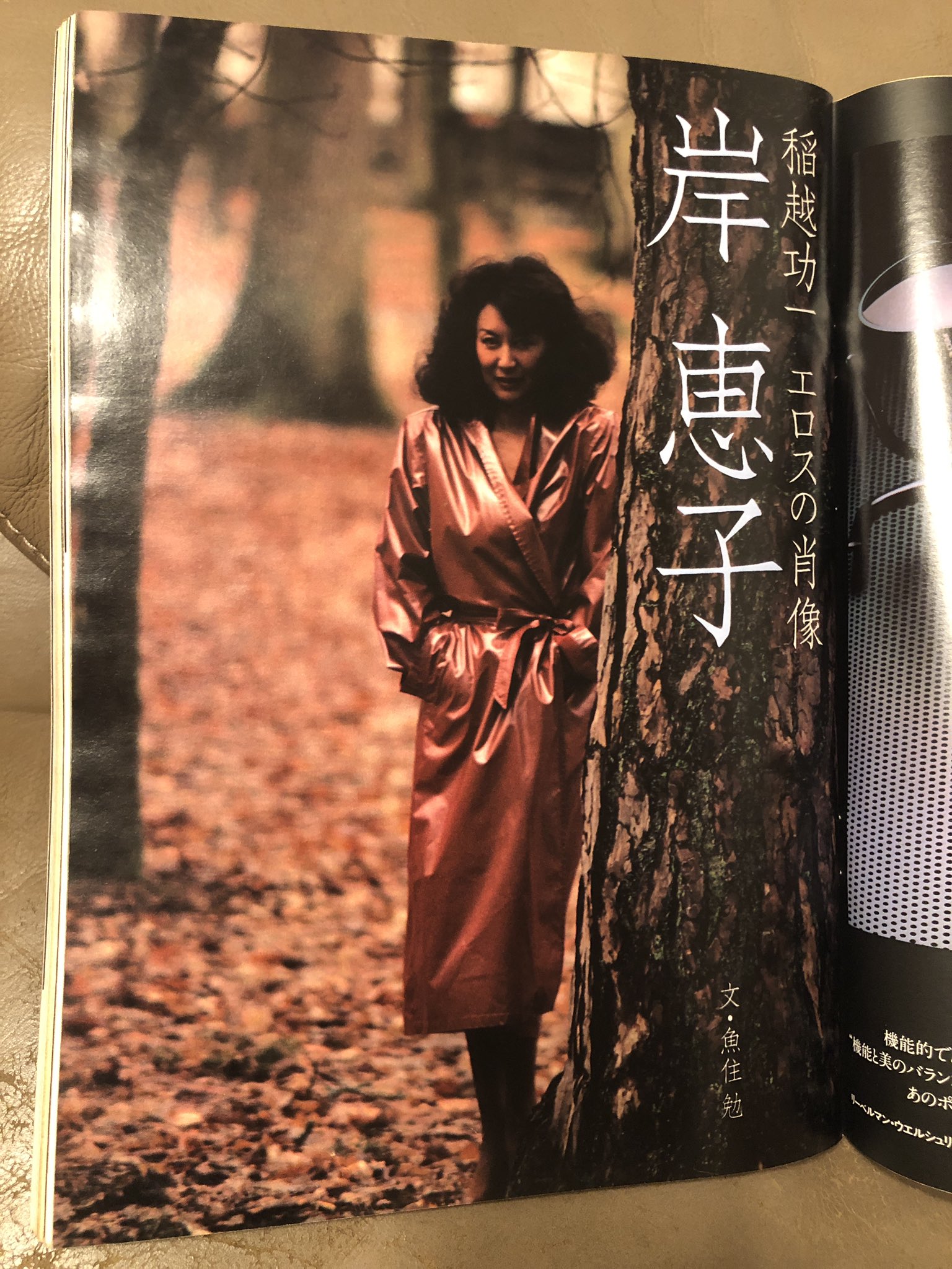 岸　恵子のヌード 羽柴重作 na platformě X: „・・・・もうね、こうなったらね、ペントハウス日本版昭和58年創刊号記念の岸恵子さんの世界遺産ヌード見て！  #沿線地図 #三昭食堂 https://t.co/6FoXnBs9Ul“ / X