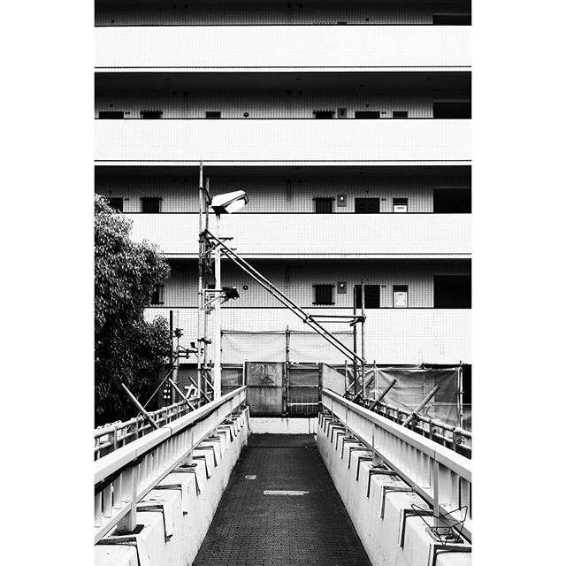 Ordinary bridge and ordinary building

#monoart #blackandwhitephotographyoftheday #insta_pick_bw #monoart_ #houstonphotographer #photowall_bw #edits_bnw⁣ #bnw_2019 #bnwphotographer #monochromatic #igblackandwhite #blackandwhiteshot 
#fujifeed #fujix #fujifilm_xseries #x100f …