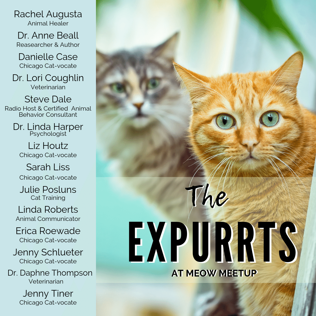 MeowMeetUp's tweet photo. Think you know a lot about #cats? Well, you might...but we promise our amazing jam-packed line up of speakers will surprise you! From animal communication &amp; healing, to cat behavior decoded + more. Presos different on Sat &amp; Sun
https://t.co/ccbsR5LNo2
#meowmeetup  #catsoftwitter https://t.co/z03xfX3GZX