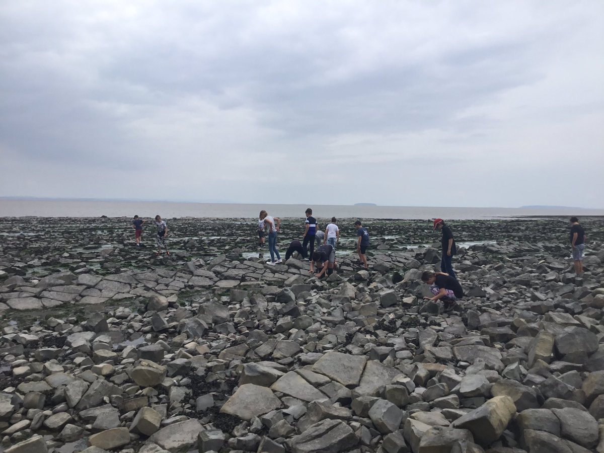 We had a fab time fossilising and rock pooling.<a href="/EdTransform_UK/">EdTransform</a> <a href="/PensansSchool/">Pensans School</a>