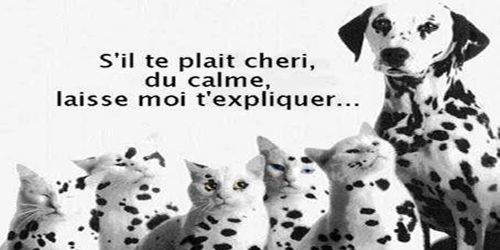 Mort de rire tweet media