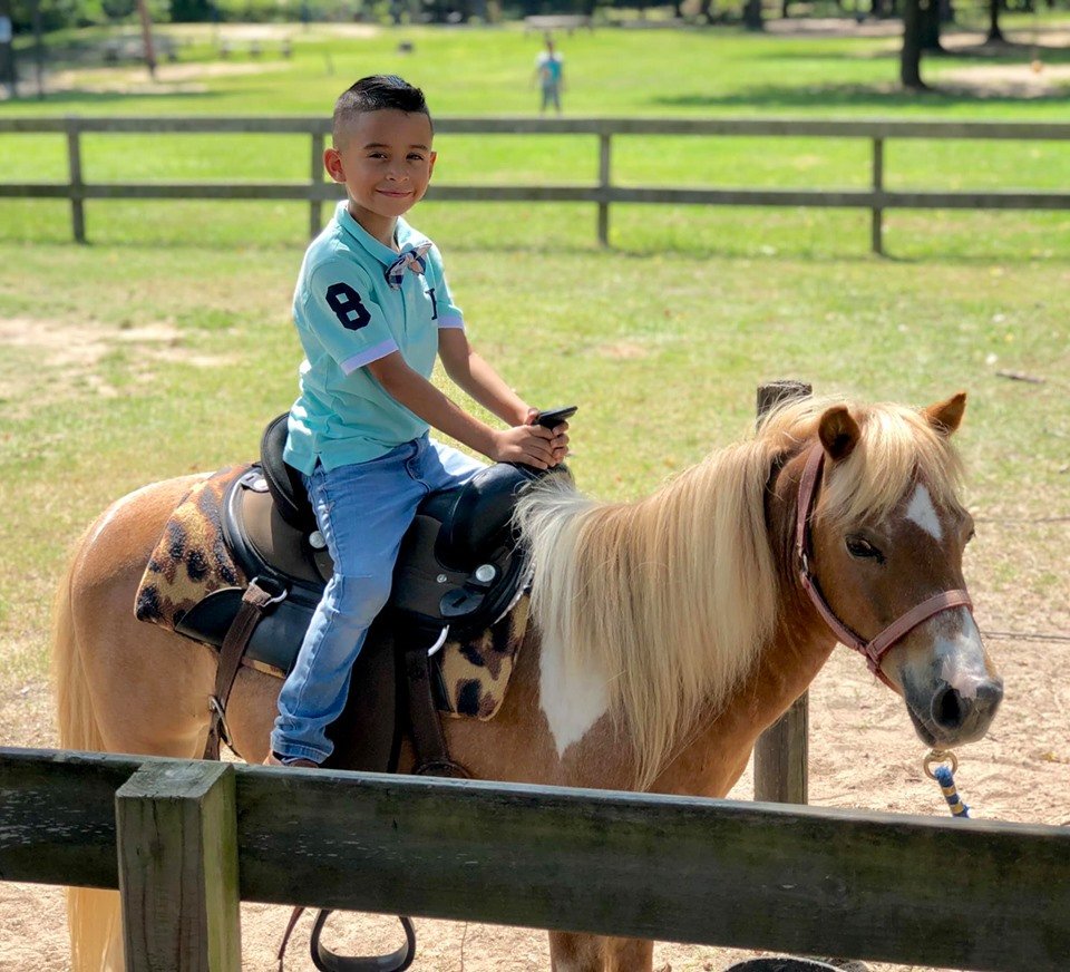 7 Acre Wood tweet media