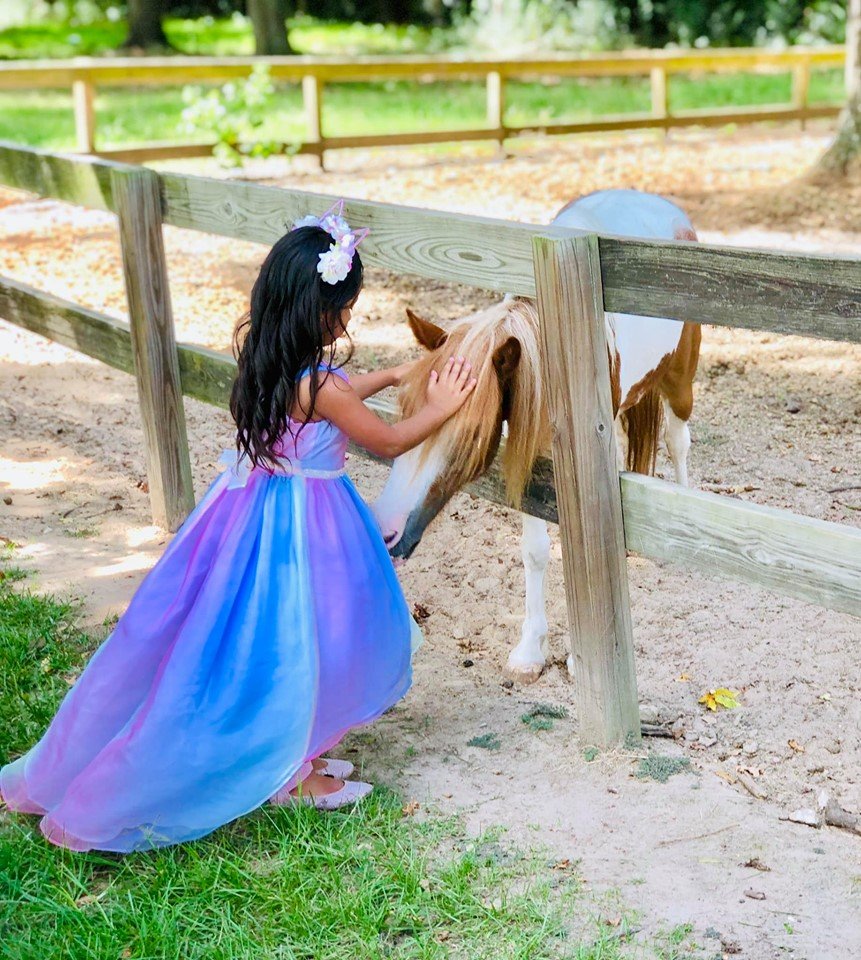 7 Acre Wood tweet media