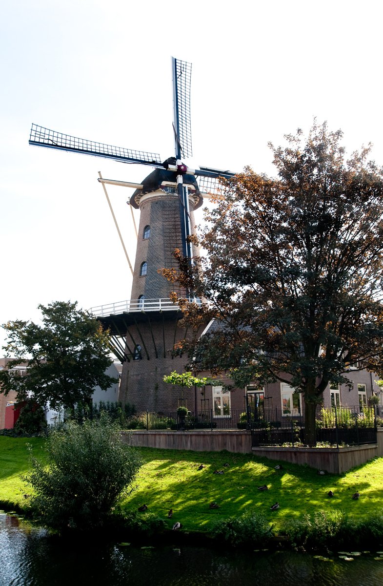 Culemborg's tweet photo. De tweede editie van de Culemborgse Zomertoer is op zaterdag 27 juli. De toer komt langs mooie plekken van onze stad. De route is gratis. De toer kunt u alleen afleggen. Maar ook in groepjes. Om 11.00 uur en om 13.00 uur verzamelen groepjes bij ElkWelzijn aan de Meerlaan 22. https://t.co/cKxZaeKgEI