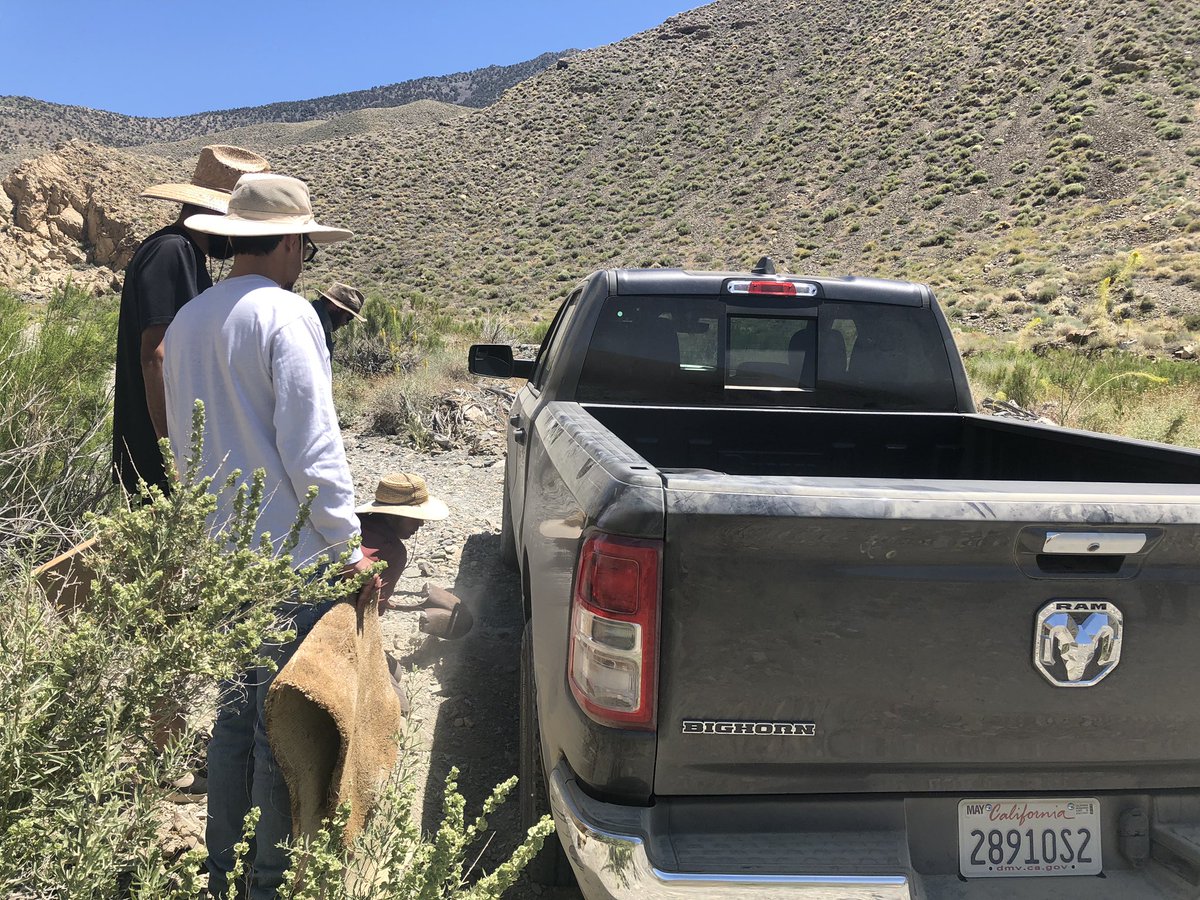 Lesson 2. When friends doing field work are in peril you may be called into action if you are in a position to help. On field trip #4 we launched a successful rescue mission and helped @RSABG grad student  @DylanHCohen get unstuck on a backcountry road.