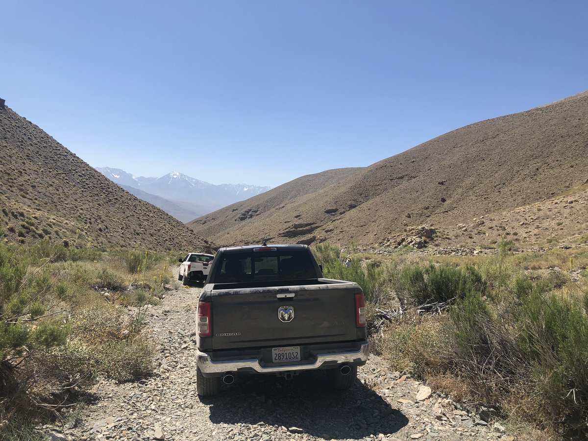 Lesson 2. When friends doing field work are in peril you may be called into action if you are in a position to help. On field trip #4 we launched a successful rescue mission and helped @RSABG grad student  @DylanHCohen get unstuck on a backcountry road.