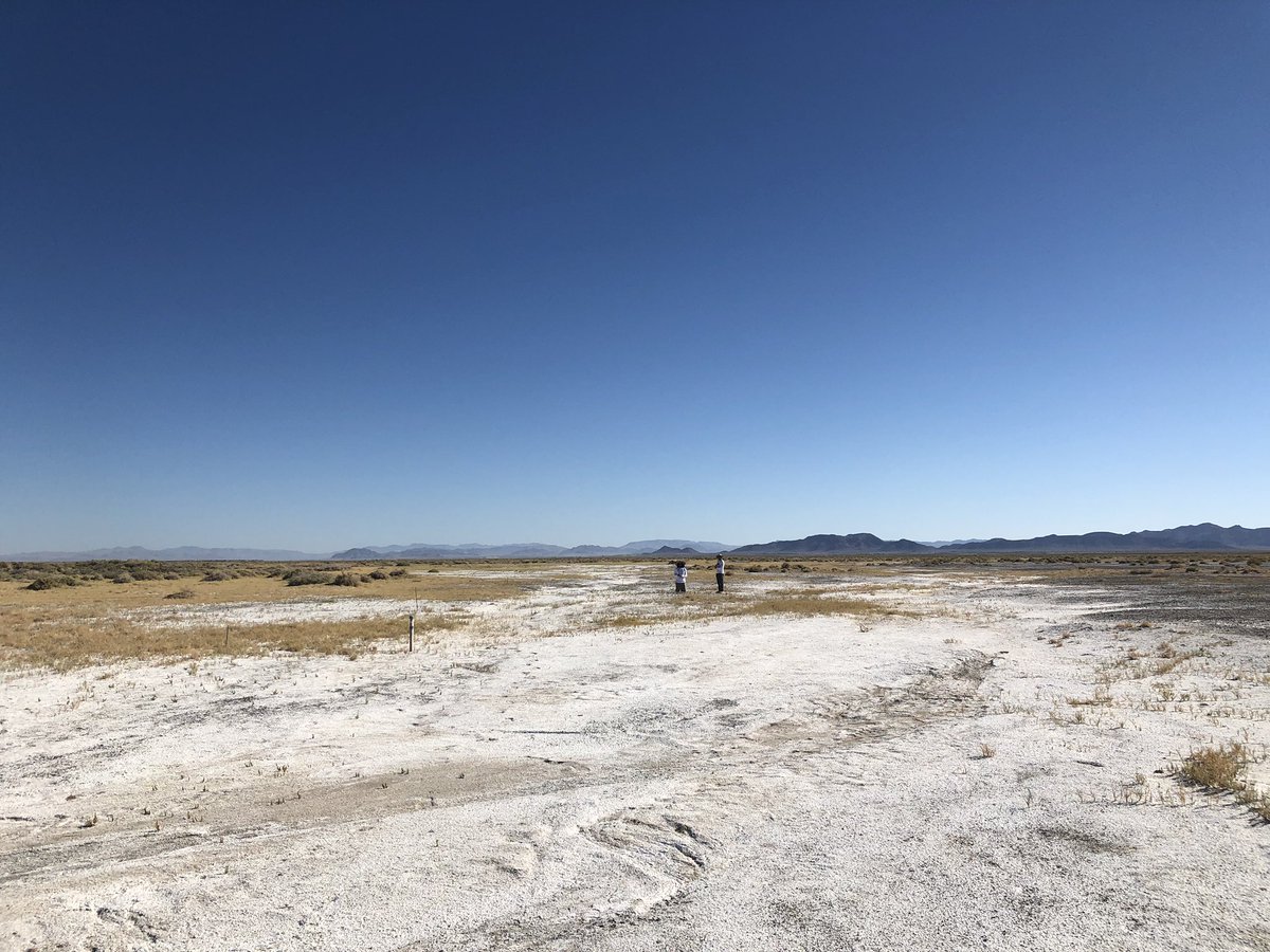 Lesson 4. Be prepared with extra water and food when conducting field work in the desert in July. Work in the early mornings to avoid the heat of the day, then take the afternoon off and explore the local sites! We are having a great time in the Amargosa monitoring niterwort!