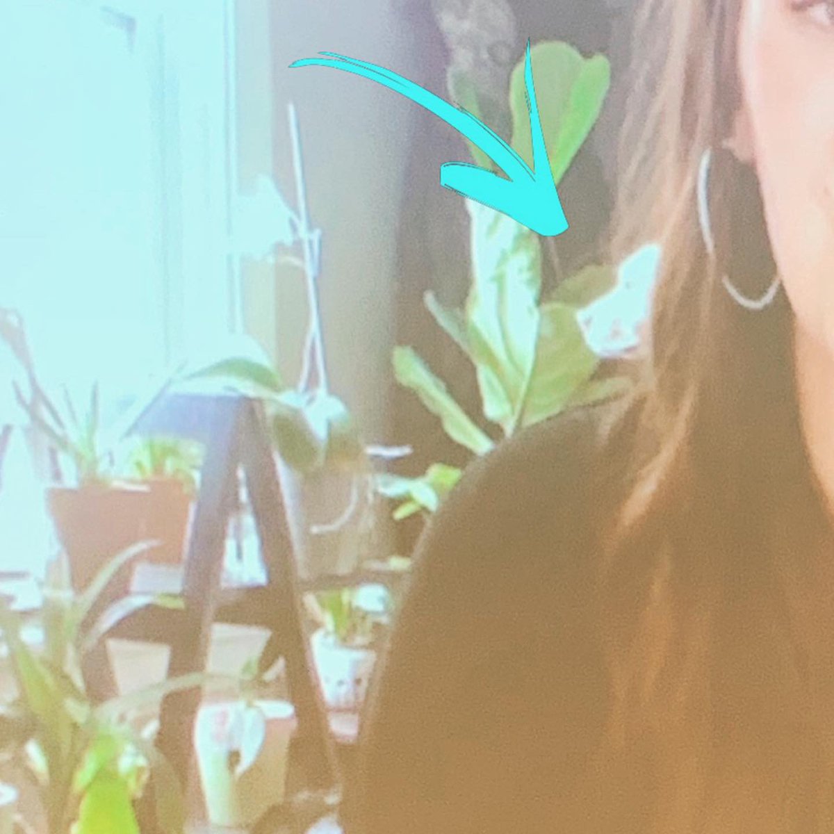 Best way to talk Virtual Peer Circles: virtu-hosting speaker Kelsey Grassman! Special appearance by her cute pup Hider living her truth basking in a sunbeam. Thanks <a href="/refinery46/">Refinery46</a> &amp; <a href="/comcast/">Comcast</a> <a href="/ComcstSpotlight/">Comcast Spotlight has a new Name: We're @Effectv</a> for sponsoring last night's meetup &amp; supporting Indy's digital community.