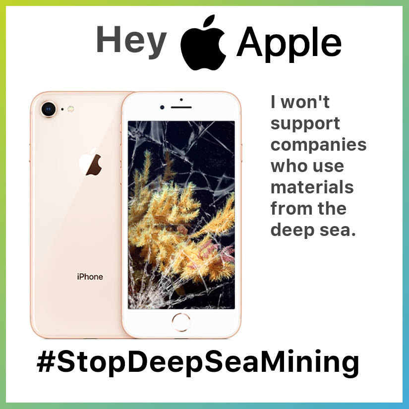 MelissaJane06's tweet photo. .@Apple - You have the power to stop a dangerous new industry from wrecking our oceans. Will you say no to materials from the deep sea? https://t.co/SYfxOGeQ4d #StopDeepSeaMining #ProtectTheOceans https://t.co/ZFRZuuUVtt
