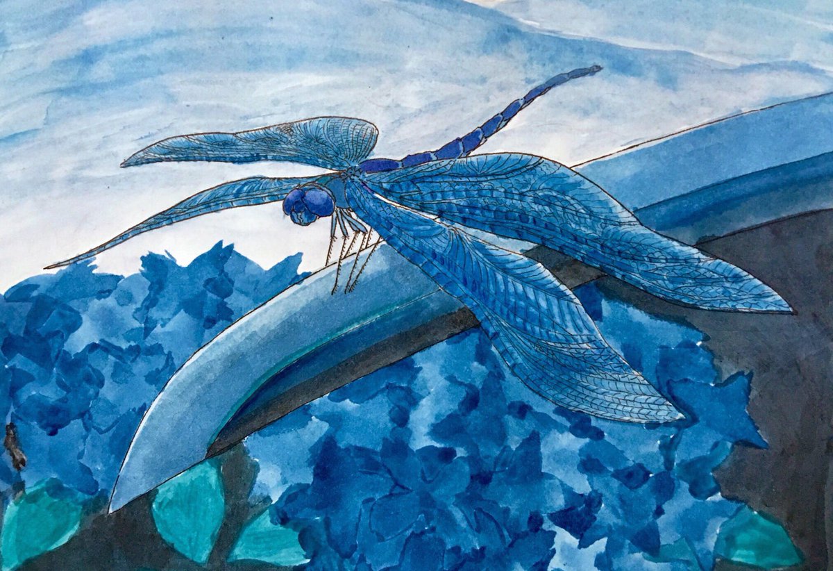 瑠璃色眼鏡 高校以来の水彩画に挑戦しました 蝶蜻蛉と言う綺麗なトンボをネット ぜーふんとのイラスト