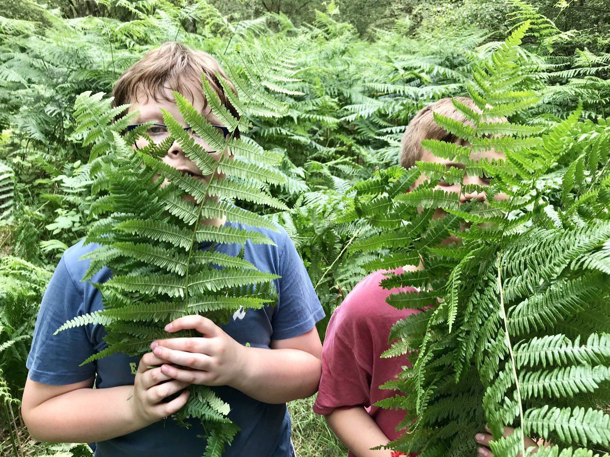WatkinsBHCS's tweet photo. Foraging for furnishings on @yr7camp hopefully all @BrightonHillSch Yr7 will make it safely out the dense foliage! 😱#bewareofthebears 🐻 https://t.co/SBww0VzmTf