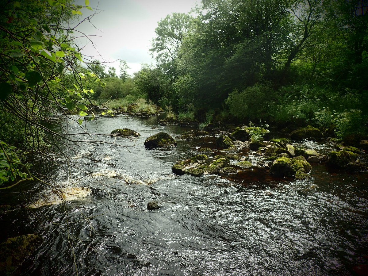 Galloway_FT's tweet photo. We're out hitting the #NEPS sites hard this week. It's interesting to #electrofish such a variety of watercourses π https://t.co/TXOuelc8XU