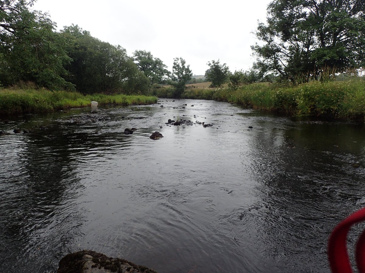 Galloway_FT's tweet photo. We're out hitting the #NEPS sites hard this week. It's interesting to #electrofish such a variety of watercourses π https://t.co/TXOuelc8XU