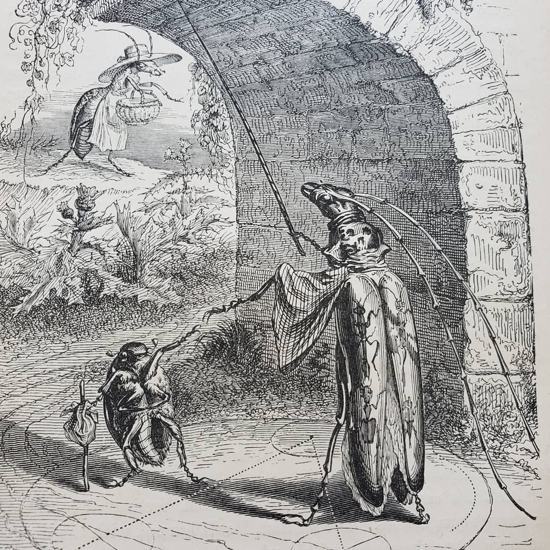 SutroLibrary's tweet image. We are loving this #WednesdayChallenge #BugginOut so much! This book of fables has the genius work of caricaturist J.J. Grandville! #librariesofinstagram #libraries #specialcollections #archives