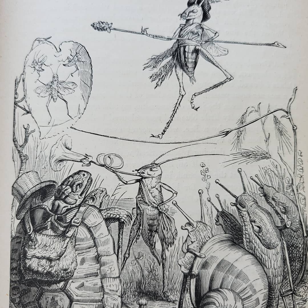 SutroLibrary's tweet image. We are loving this #WednesdayChallenge #BugginOut so much! This book of fables has the genius work of caricaturist J.J. Grandville! #librariesofinstagram #libraries #specialcollections #archives