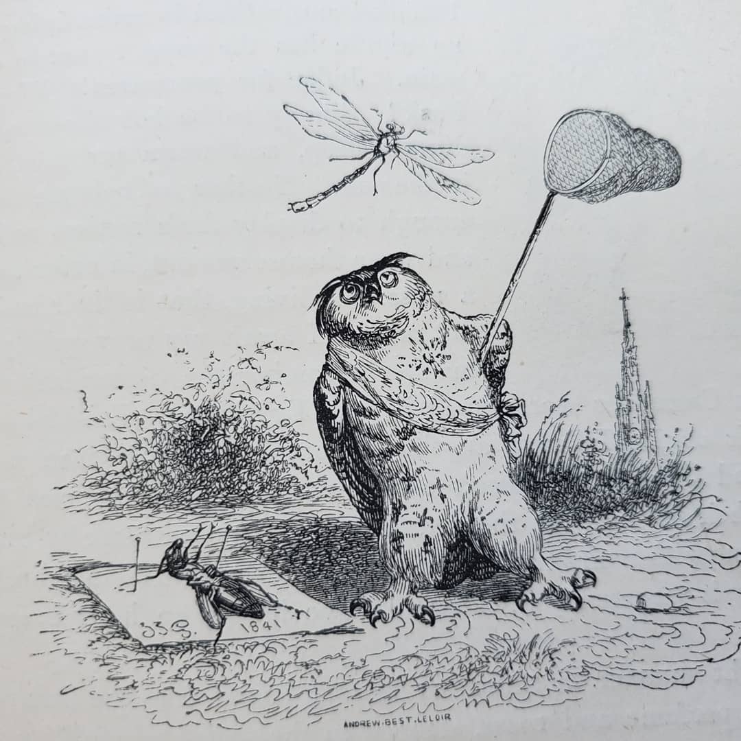 SutroLibrary's tweet image. We are loving this #WednesdayChallenge #BugginOut so much! This book of fables has the genius work of caricaturist J.J. Grandville! #librariesofinstagram #libraries #specialcollections #archives