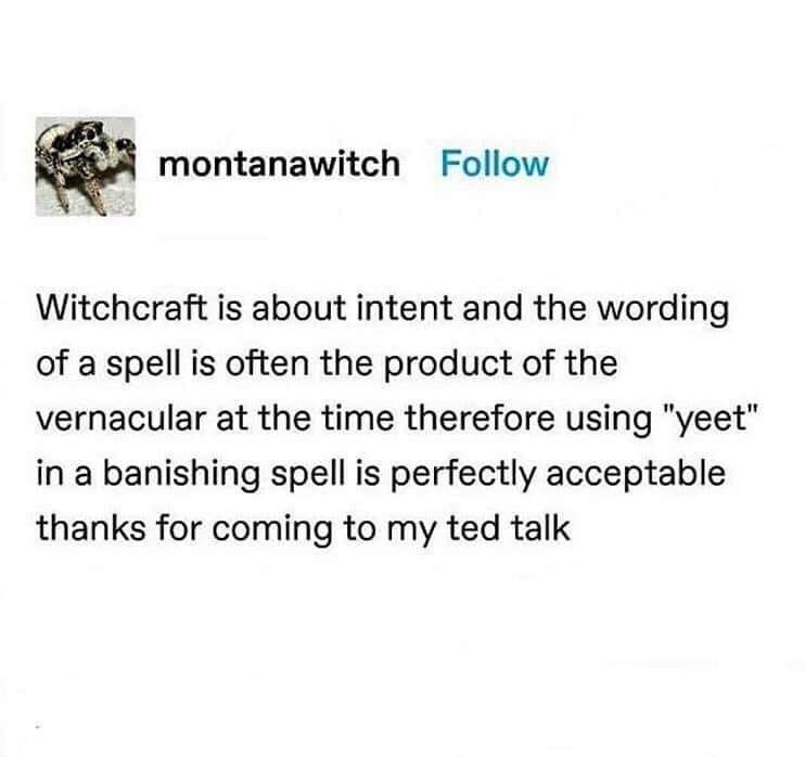 CovenLunar's tweet photo. Yesssss be gone yeeeet mf😂💀 #witch #familiars #witchyvibes #witchlife #witchcraft #witchesofinstagram #lunarlightscoven #witchesdoitbetter #witchbitch #blessedbe #allwitchesmatter #witchesoftwitter https://t.co/UrMnL61Qum