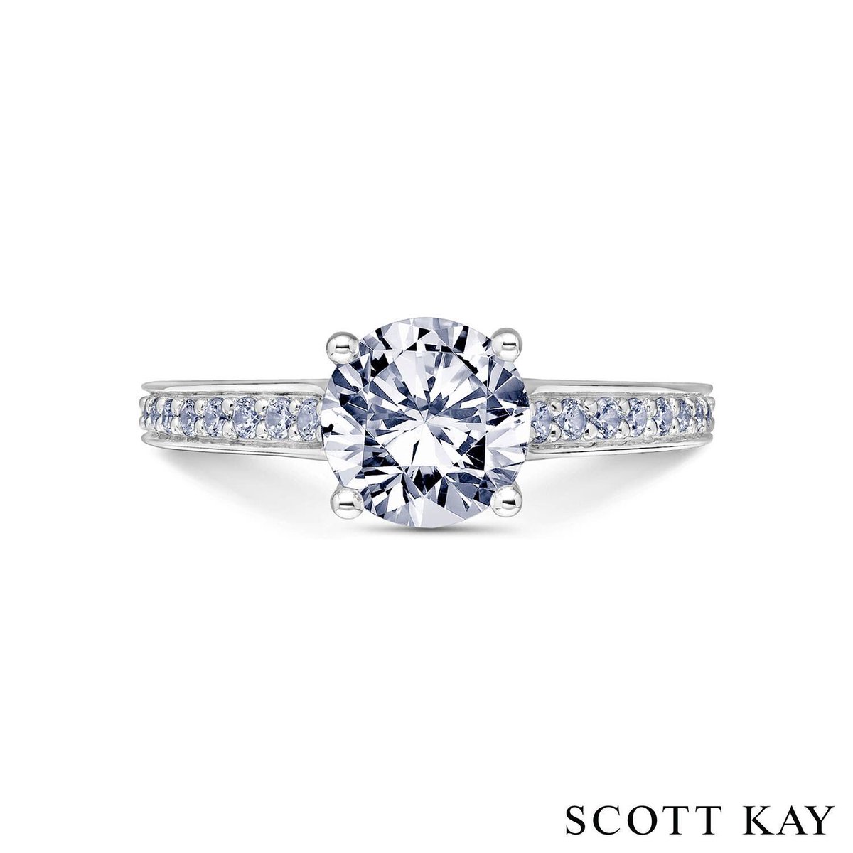 Scott Kay tweet media
