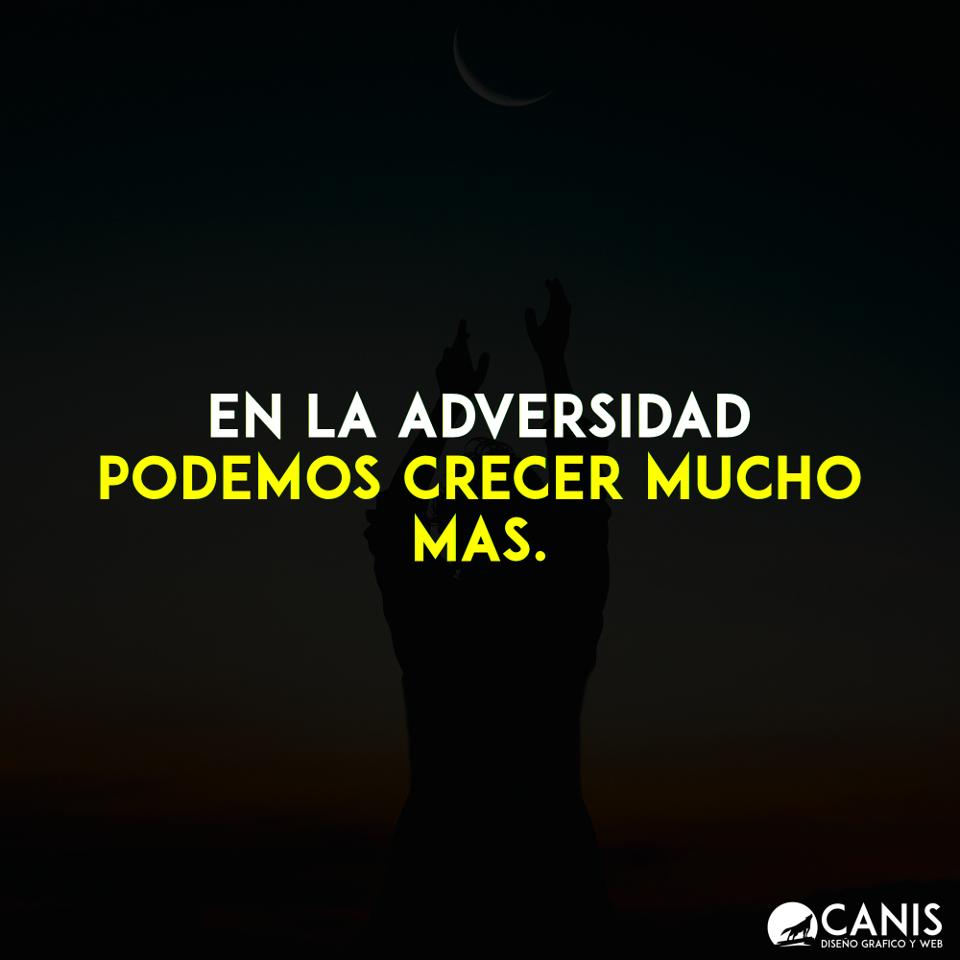 canis_md's tweet photo. https://t.co/RqHgjxEvys