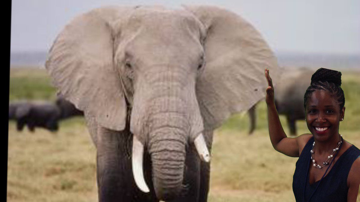 pnabbie's tweet image. @kcsdschools Check out your awesome Chandra Richardson taking on the world! #2019UTC #LifelongLearner #AmazingEducator