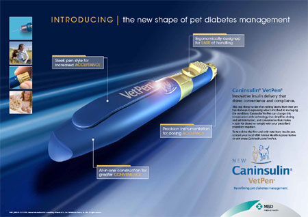 AnimalEndocrine's tweet photo. Insulin Injection Pen (VetPen): More Questions (and Answers) about this New Diabetic Product https://t.co/Kvq1ypNLJ6 https://t.co/OQc2tgS2ZG