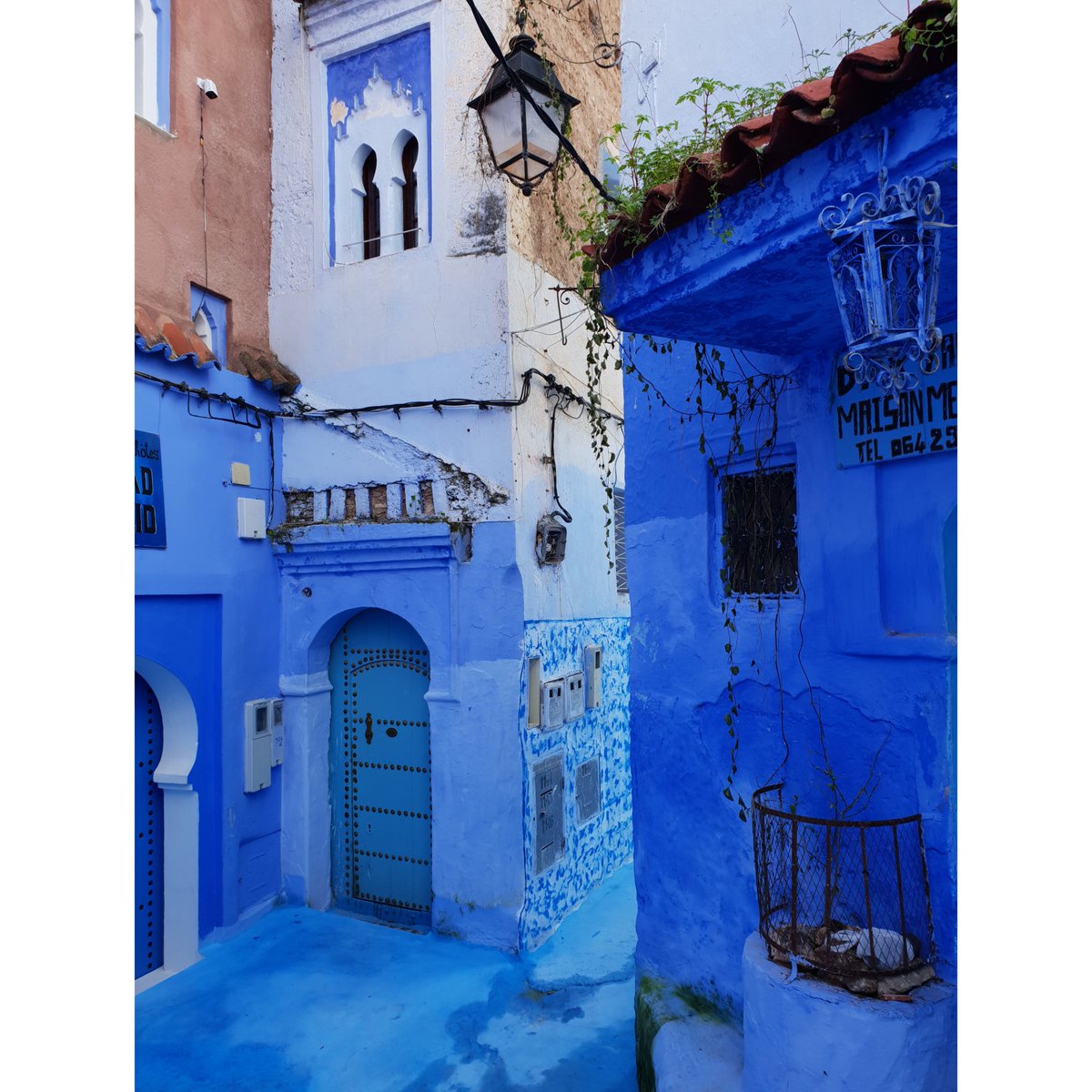 nonameisworkin's tweet photo. In love with the blue 💙
.
.
.
.
.
.
#blue #chefchaouen #Morocco #bluecity #photography #travel #Emoji #FaceApp https://t.co/ZmgslIvsT8