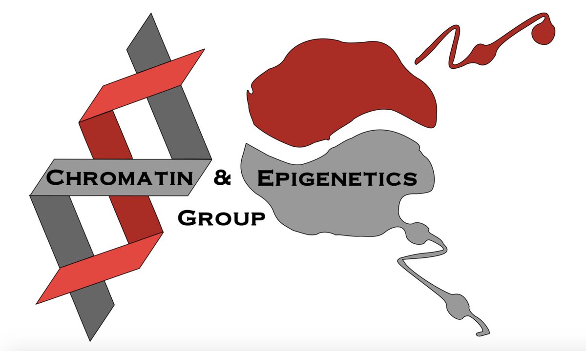 OSU/NCH Epigenetics Group (ONEg) tweet media