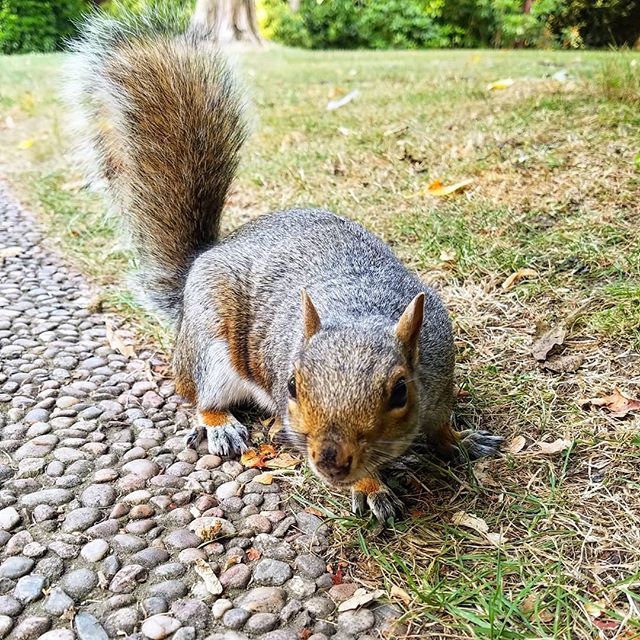 Unearthly Grey tweet media