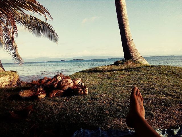 WinfliSailtrip's tweet photo. ¿Quieres soñar despiert@? ¡V E N! 
Come to live this dream!! #winflisailtrip #sailinglife #naturelovers #sealovers #joinus #bestspot #sailtrip #adventure #wildtrip #viajar #caribe #panama #relaxtime  #sealifestyle #nextholidays #summer #goodvibes #vacaci… https://t.co/xDUxvq0FFe https://t.co/xY7SZk11C7