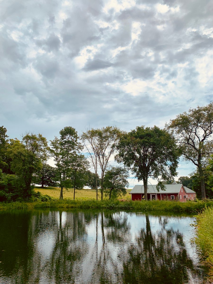 A summer moment on Putney's farm.