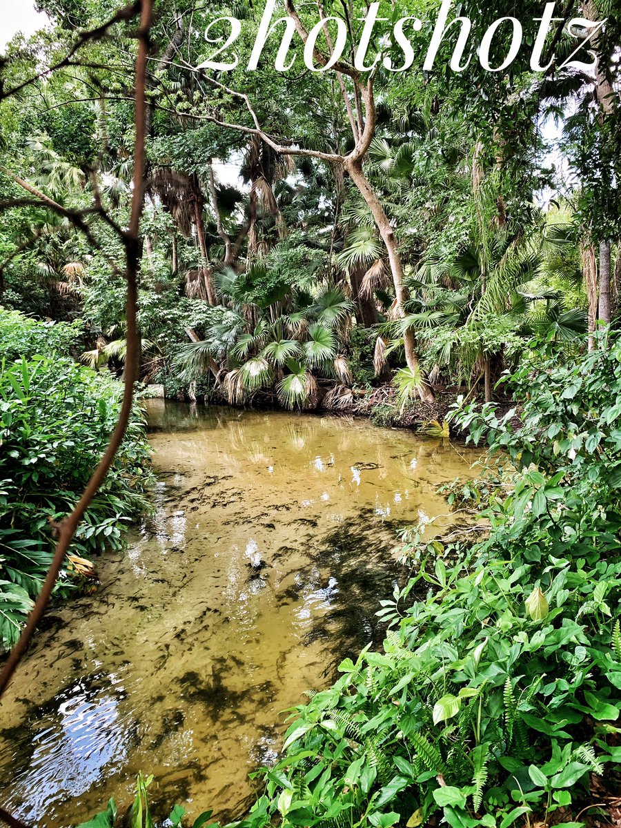 2hotshotz's tweet photo. Omg Florida is so beautiful 😍 #love #followback #Twitterers #tweegram #photooftheday #20likes #amazing https://t.co/DiYV3iezOW