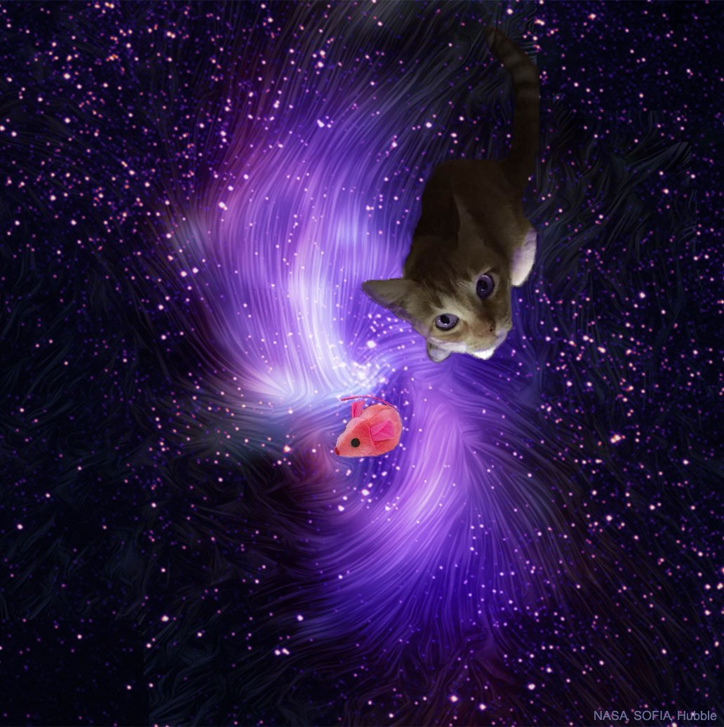 SpacecaseCat's tweet image. I lost my mouse in an unmewsual place! #spacecats #CatsOfTwitter #cat #space