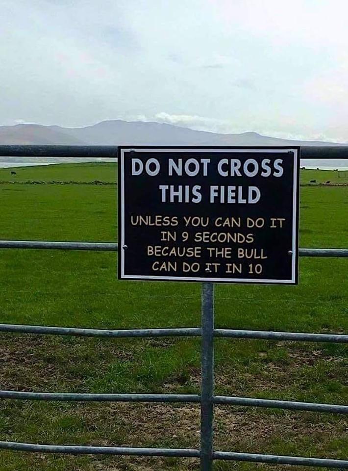 Some life lessons need to be taught, some can be learned...