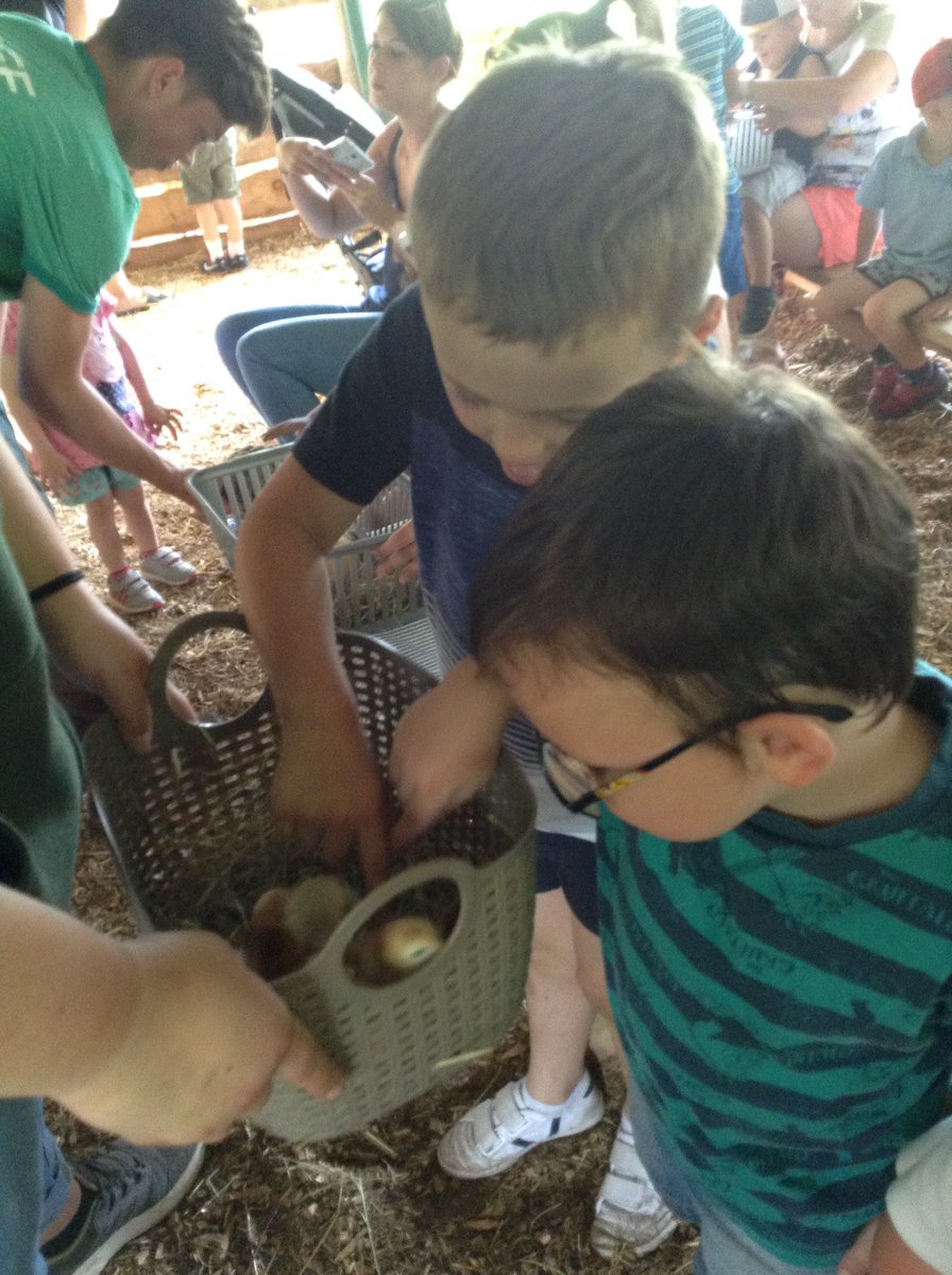 REC_LPS's tweet photo. The children in Nursery were so gentle with the animals today! We had such good fun! @NRB_LPS @RDA_LPS #LPSeyfs https://t.co/eEgmyZD2eu
