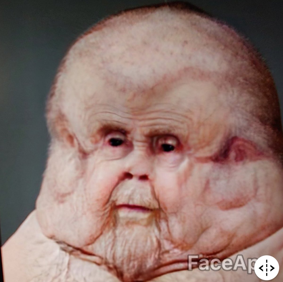 MadSmejki's tweet photo. Poor Graham. #MeetGraham #FaceApp https://t.co/DZ2vVh9adh