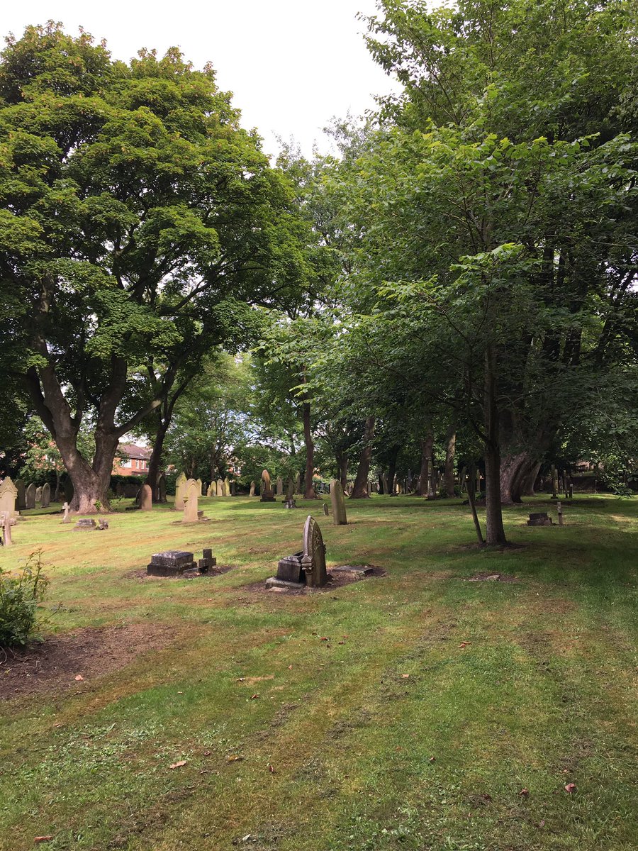 Tanfield In Bloom tweet media