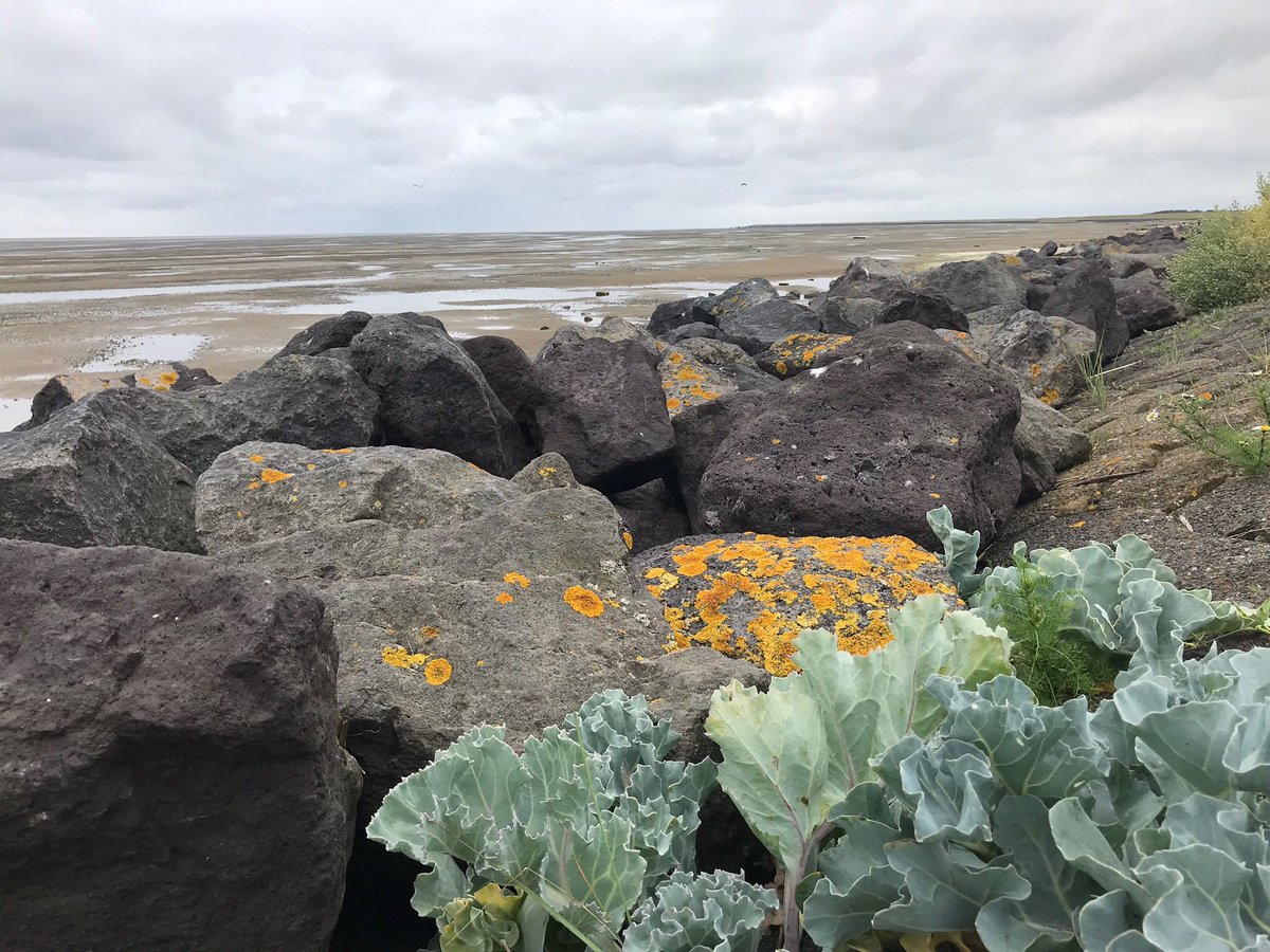 Even paar dagen genoten van het mooie Terschelling .