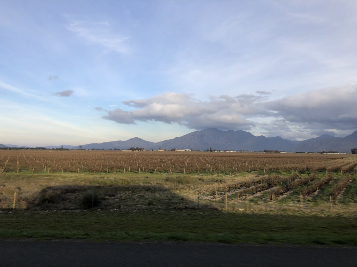 LRGSRugby's tweet photo. And finally, some photos from the amazing drive in to Worcester this evening to meet hosts from HTS Drostdy. Mr Ledward was in his element educating the boys about the granitic formations. @LRGSGeography would be proud! #LRGSinSA🇿🇦 https://t.co/5aB8ANBf73