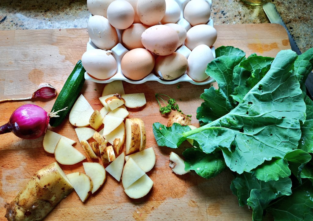 sealbhoirbeag's tweet photo. I love this time of the year in #Decsplot when I can get everything for lunch within a hundred yards of the kitchen
#smallholder
#noairmiles
@giyireland
@IrishSeedSavers https://t.co/AreWfUIfB0