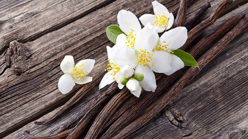 DureFoods's tweet photo. As one of the worlds most appreciated flavours, does vanilla have a place in your custom formulation?
https://t.co/FDSVTeMYWO https://t.co/3KNKrwTayw