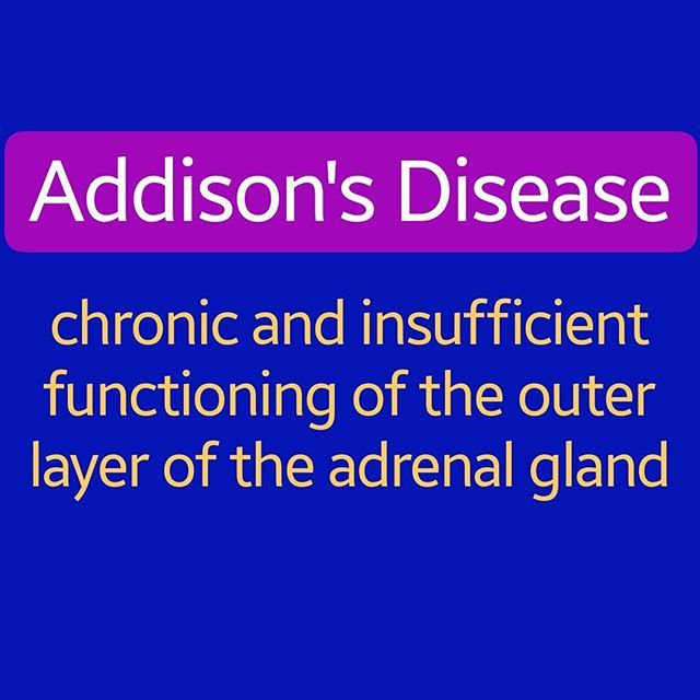 MissPinalOT's tweet photo. #understandingautoimmunedisease This disease also occurs in dogs! @missazorg .
.
#younggirlswithdreamsbecomewomenwithvision #whenorgansattack #cdo #misspinalcountyot2019 #missamerica #maoteen #teamglutenfree #maoteen2019 #teamMPEVGA #cdo #missarizona #ma… https://t.co/392EvWohsK https://t.co/KoWYZvdHge