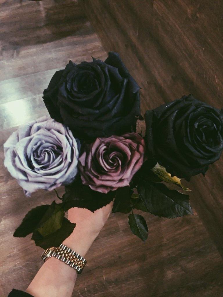 pictures (@pictures) on Twitter photo 