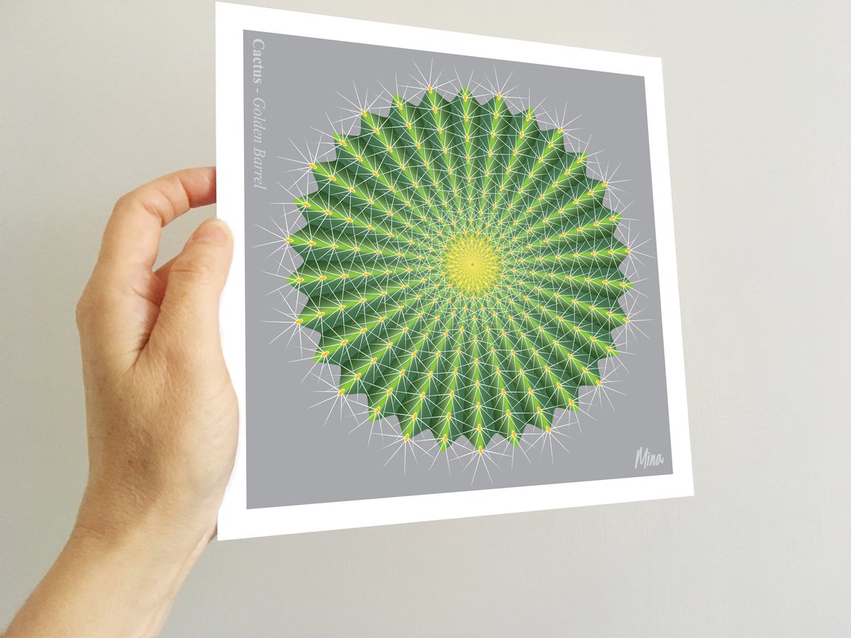 MinaGalleria's tweet photo. EXCITED to share my #Cactus #ArtPrint

Cactus - Golden Barrel
Art print available at my #etsyshop - https://t.co/nR1dnob4XM

#HandmadeHour #EtsyGifts  #womaninbiz  #UKEtsyRT #Etsy #LoveFlowers https://t.co/MzzreqrKQK