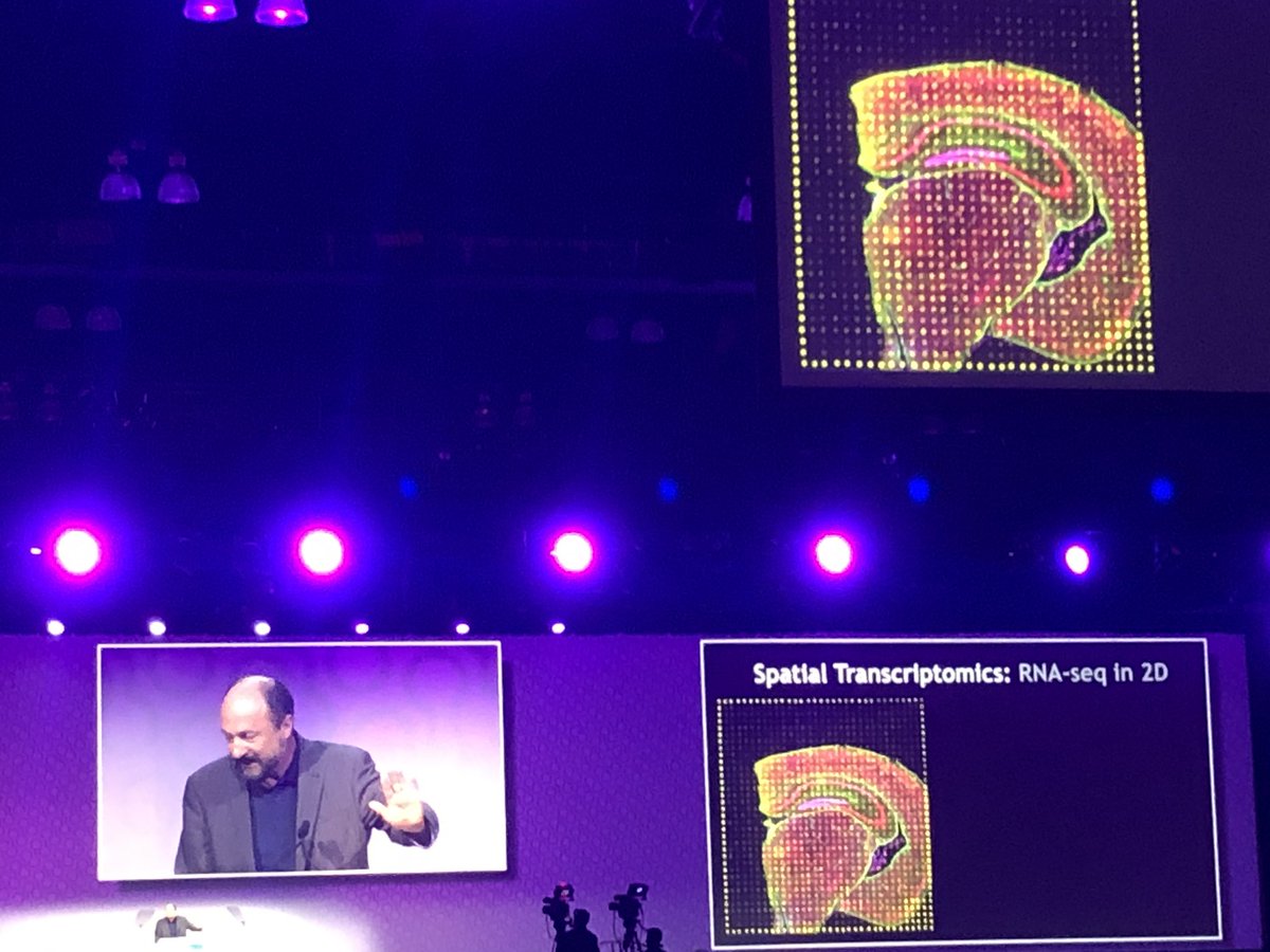 KristopheDiaz's tweet photo. Great example on new technologies to study the complexity of brain’s molecular biology #insitutranscriptomics #AAIC19 https://t.co/CrSBIFFAFz