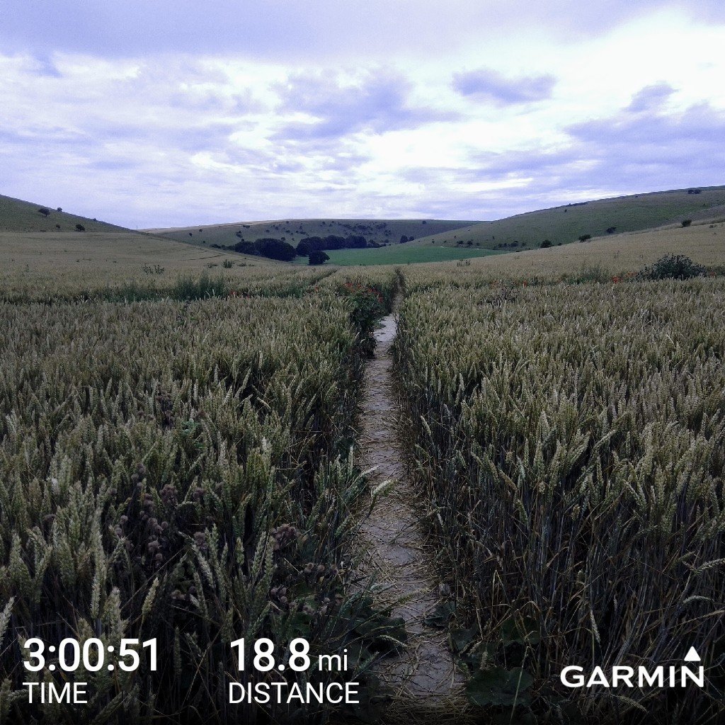 Ashton378's tweet photo. #southdowns #longrun #ultratraining Not as far as wanted today but figured quality over quantity better than nothing! 😅 https://t.co/ANpvCp8lbu