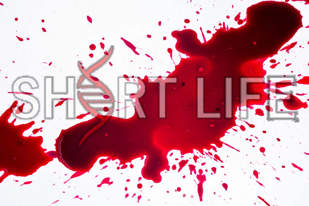 Short_Life_Film's tweet photo. Warm blood covers cold blood in the series you won't want to miss...#ShortLife https://t.co/mKVZmSEF2p #film #murder #scifi https://t.co/phJUmJ6Dg4