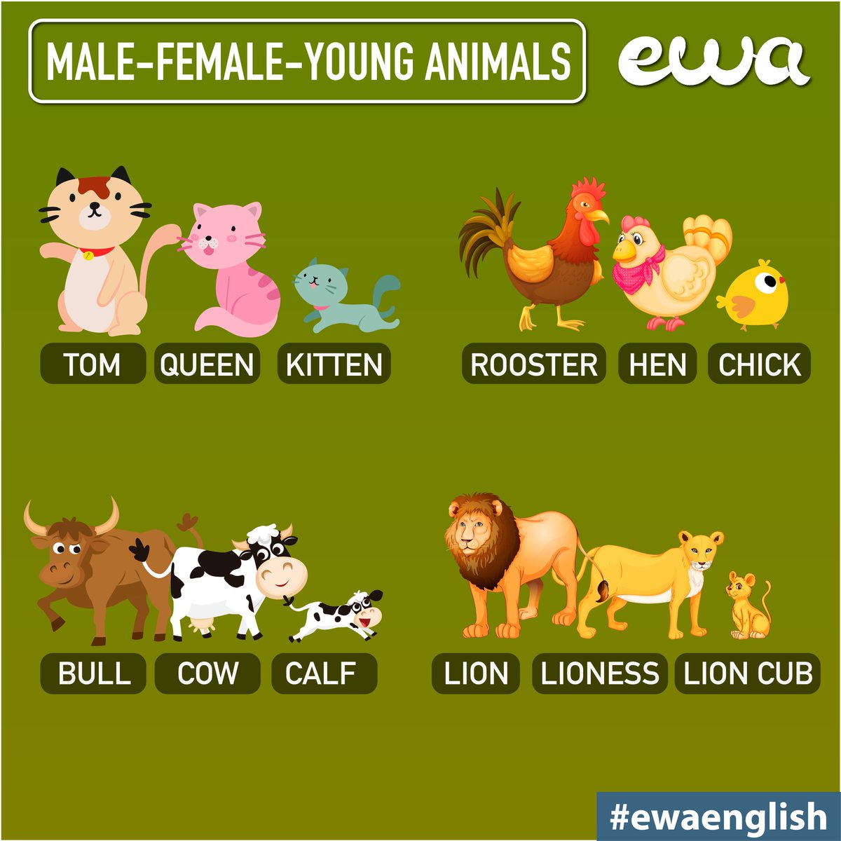 EWA - Learn English on Twitter: EWA - Learn English on Twitter:
