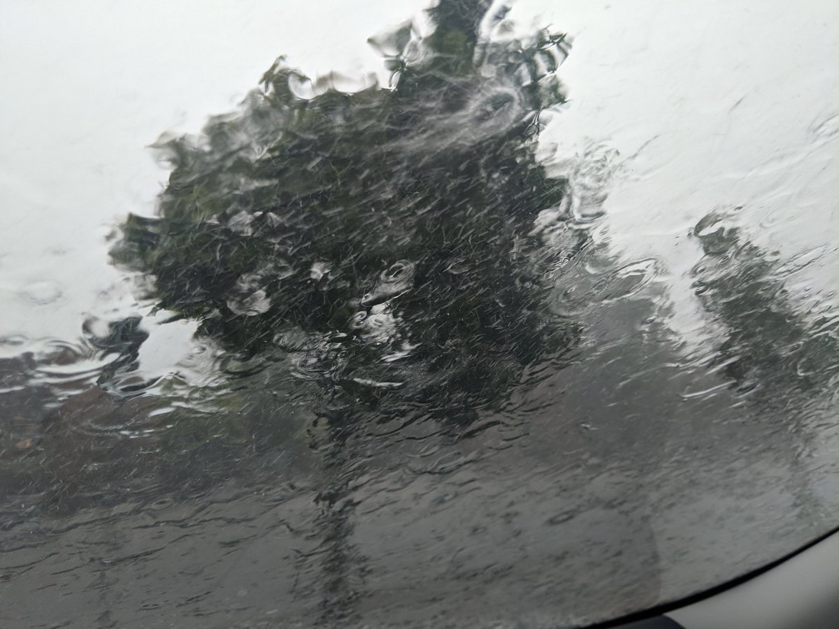 TCowle's tweet photo. Holy Rain! I had to pull into a parking lot it was so hard I couldn't keep driving. @Ptbo_Canada @caltek79 @weathernetwork #julystorm #onstorm https://t.co/M0H8IEnWAK