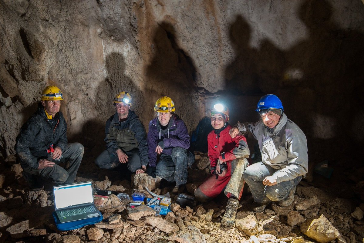 TaxonExped's tweet photo. Today we had another premiere: DNA sequencing INSIDE A CAVE! Led by @mdelledon, our DNA team used the #Voltrax and #Minion of @nanopore to sequence the DNA of cave organisms inside their cave in #Montenegro. https://t.co/4ht17mdyAa