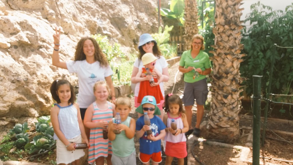 On #SunsetBayClub we already started with #DiamondAquanauts  activities. Water hung and clean water experiments #EcoActivities #WeArWaterOrg #TogetherWeCan #LearningWithGames #LifeAtDiamond #Summer2019 @CristinaglezRM @GiuliaSBC <a href="/KittiActtiv/">Kitti Szabo</a>